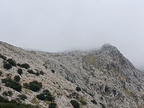 schnee-tramuntana-gebirge