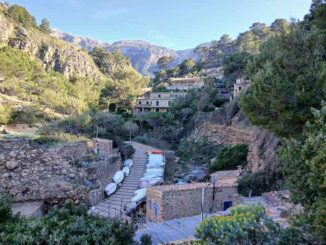 cala-deia-mallorca