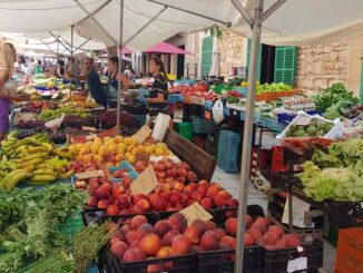 markt-von-alcudia
